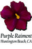 Joni-Logo-purple-wtext.jpg